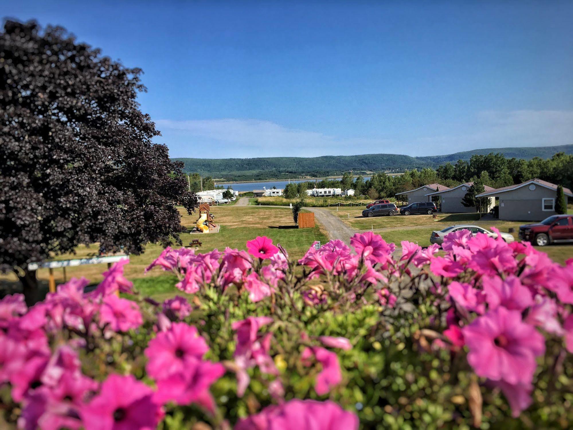Upper Clements Cottages & Rv Park أنابوليس رويال المظهر الخارجي الصورة