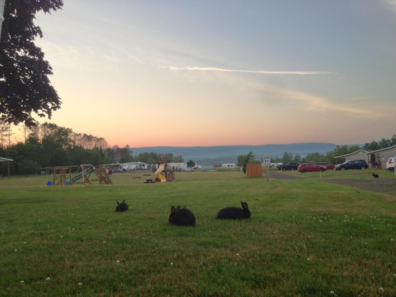 Upper Clements Cottages & Rv Park أنابوليس رويال المظهر الخارجي الصورة